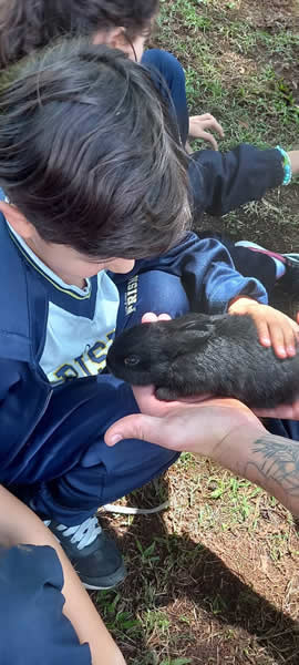 Bicho Mania 2022